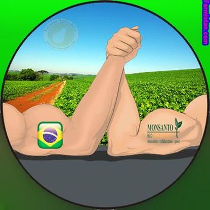Monsanto: Realizing Biotech Value in Brazil Case Study Analysis & Solution