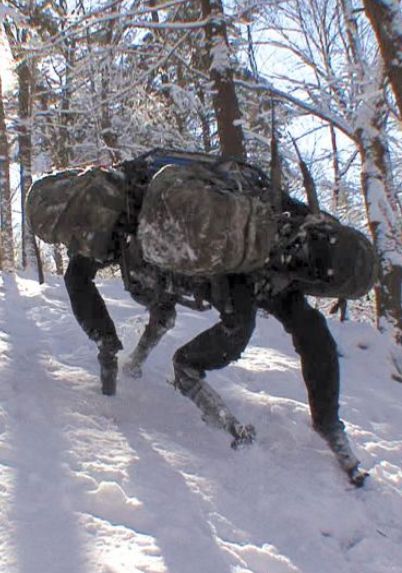 http://worldmeets.us/images/big-dog-snow-robot_pic.jpg