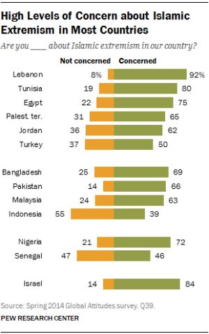 http://worldmeets.us/images/islamic-extremism-pew-poll-2014-07-01.jpg