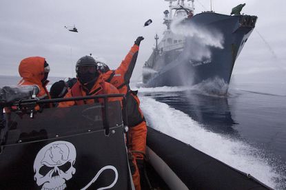 http://worldmeets.us/images/sea-shepard-whalers_pic.jpg