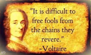 http://worldmeets.us/images/voltaire-folls_quote.jpg